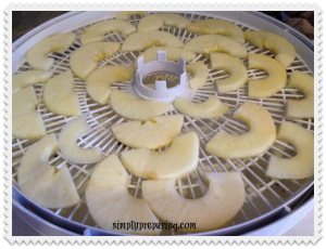 nesco tray with dehdrated apples
