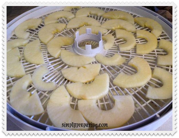 nesco tray with dehdrated apples 