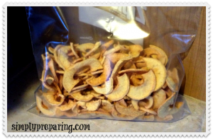 bagged homemade dehydrated apples