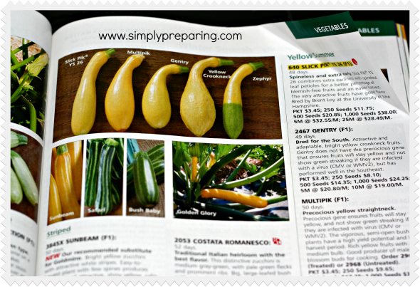 summer squash in a Johnny's Seeds catalogs - Garden Seed Source