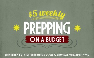 Prepping on a budget weekly square banner