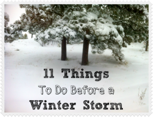 11 Things To Do Before a Winter Storm