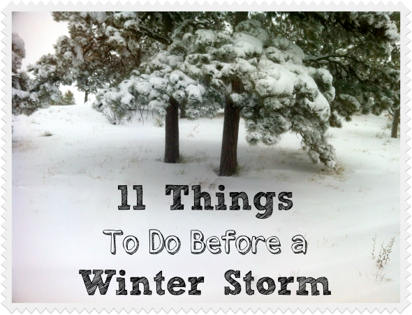 11 Things To Do Before a Winter Storm