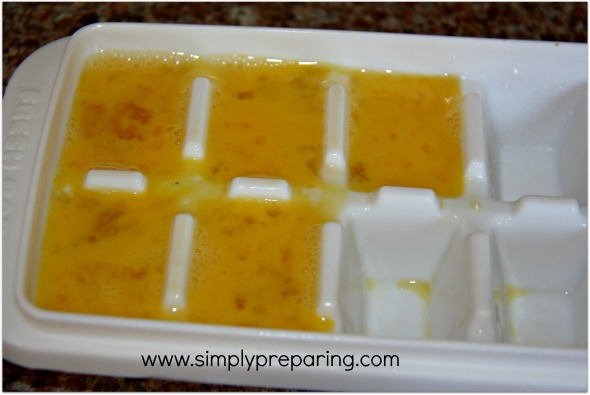 Freezing eggs in ice cube trays
