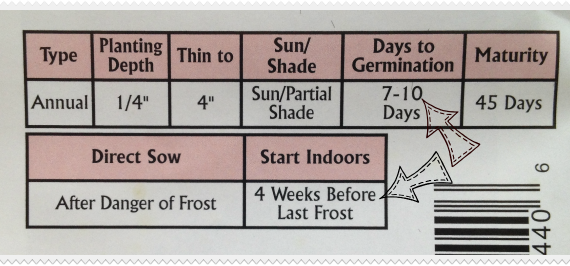 Starting Seeds Indoors: Germination