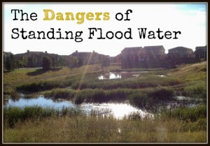 dangers of standing flood water