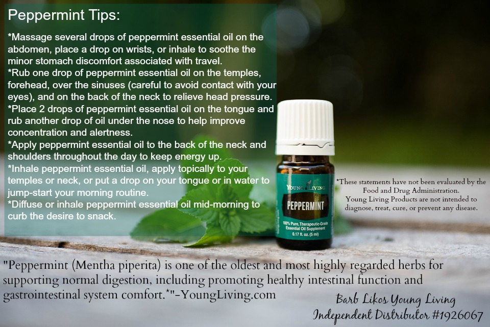 Oils for Prepping: Peppermint Essential OIls