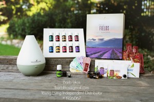 young living dewdrop diffuser kit