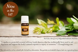 Oils for Prepping: Copiaba Essential Oil
