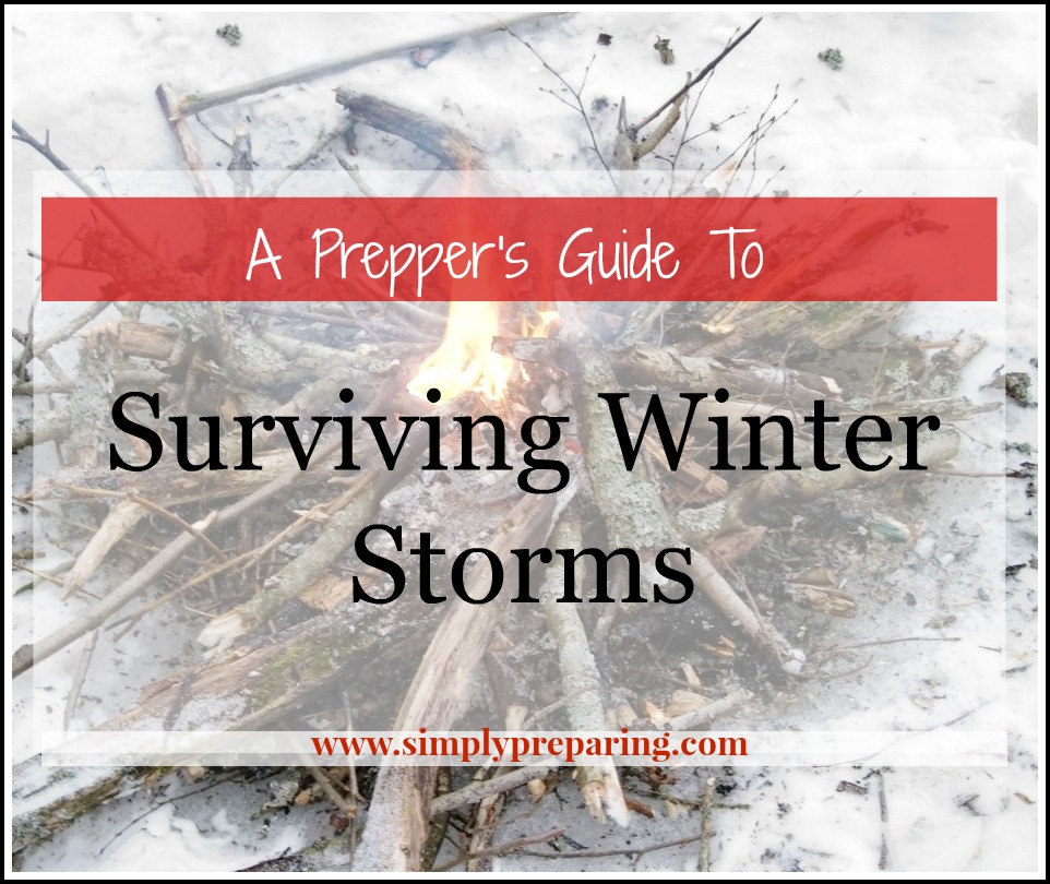 A Guide To Surviving Winter Storms