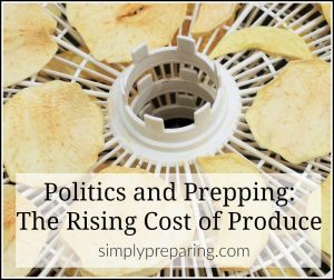 Rising costs of produce are looming as President Trump moves forward with building a wall between Mexico and the U.S. Preppers can stretch a frugal budget with these tips.
