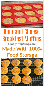 Ham and Cheese Muffin Recipe