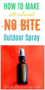 Outdoor NO BITE Spray Recipe