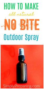 DIY Outdoor No Bite Spray