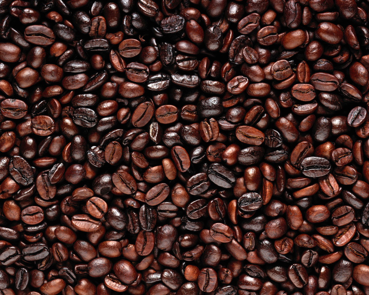 Coffee Beans should be a part of your prepping supplies.