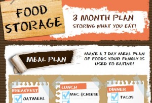 3 month food storage plan infographic clipped