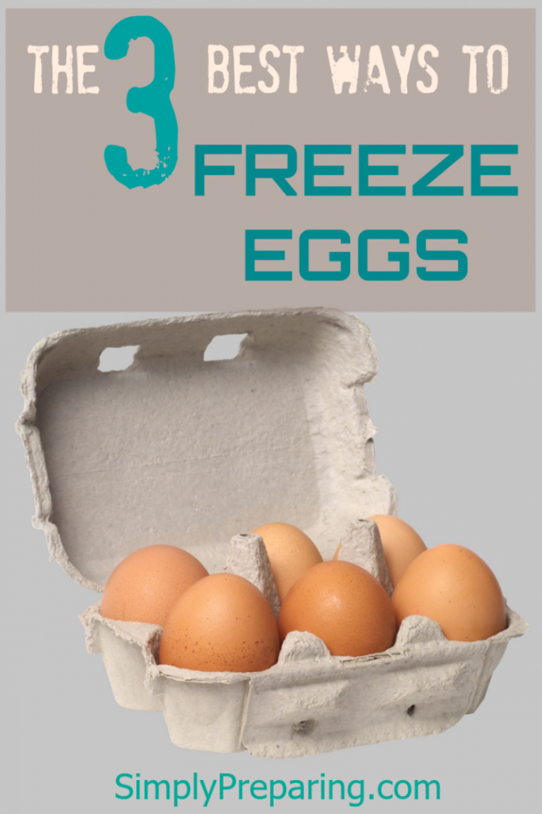 How To Freeze Eggs Food for Emergency and Disaster