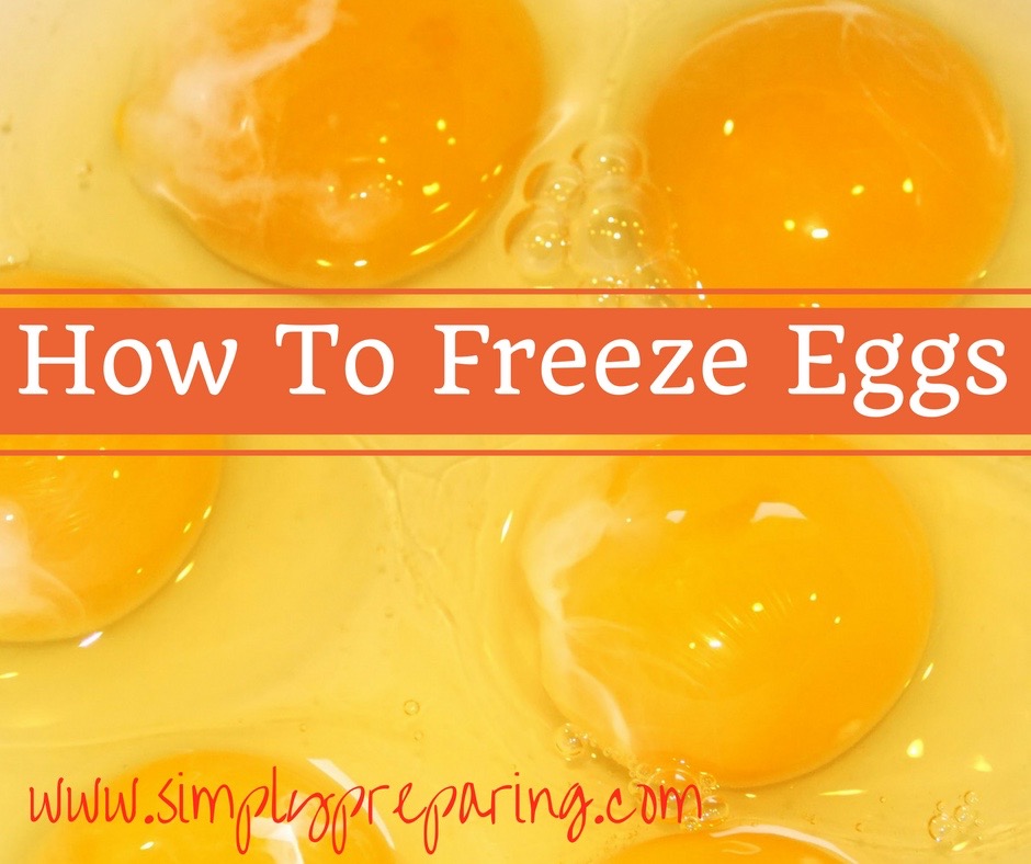 How To Freeze Eggs Food for Emergency and Disaster