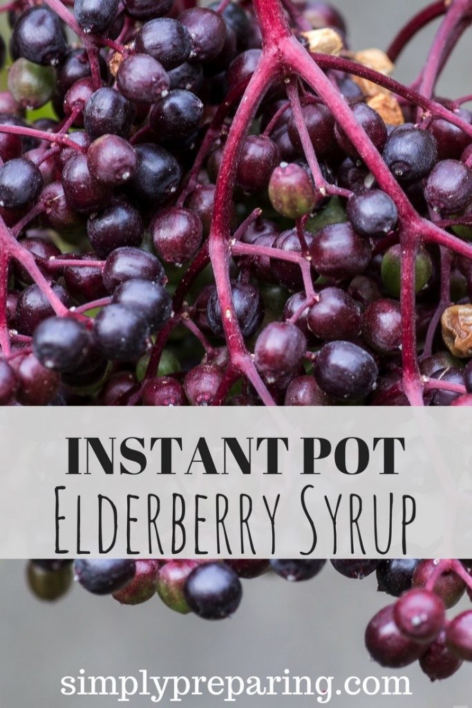 Instant Pot Elderberry Syrup