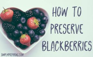 How to perserve blackberries.