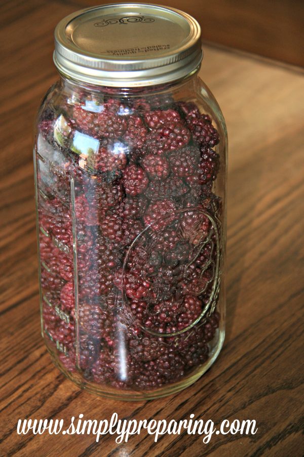 Preserve blackberries for long term storage Simply Preparing