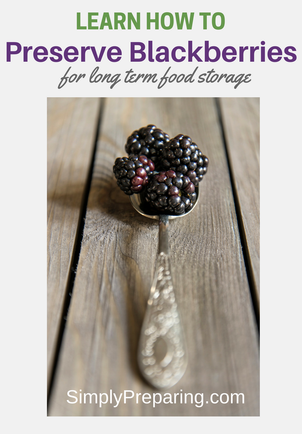 How To Preserve Blackberries For Long Term Food Storage