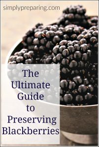 There are more was to preserve blackberries than just making jam and fruit roll ups. Learn how to preserve blackberries to use in smoothies, oatmeal, muffins and more. Learn how to make seedless blackberry powder to stir into yogurt and use in baking. Preserve the fresh taste of summer all year long!