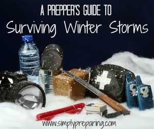 Surviving Winter Storms Safely