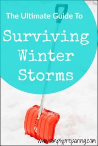 The Ultimate Guide To Surving Winter Storms