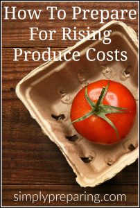 Understanding the relationship between politics and the economy will give you the opportunity to prepare for rising costs. As President Trump moves forward with building a wall between the U.S. and Mexico, rising produce costs are becoming a reality. Make sure your food storage and budget doesn't take a hit with these strategies for prepping against the rising cost of your favorite fruits and vegetables.