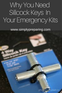 Why You Should Have Sillcock Keys In Your Emergency Kit