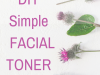 Simple DIY Facial Toner With Essential Oils