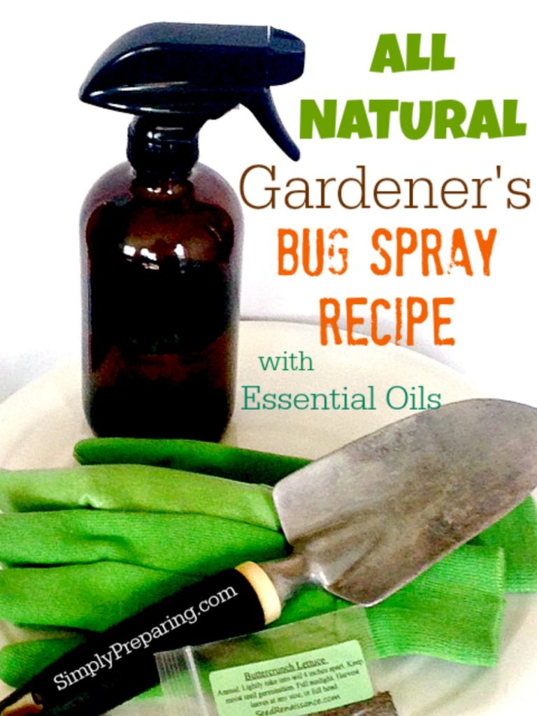 Homemade Garden Bug Spray With Essential Oils Simply Preparing