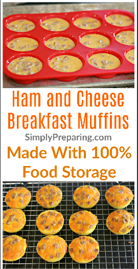 Ham and Cheese Egg Muffin Recipe