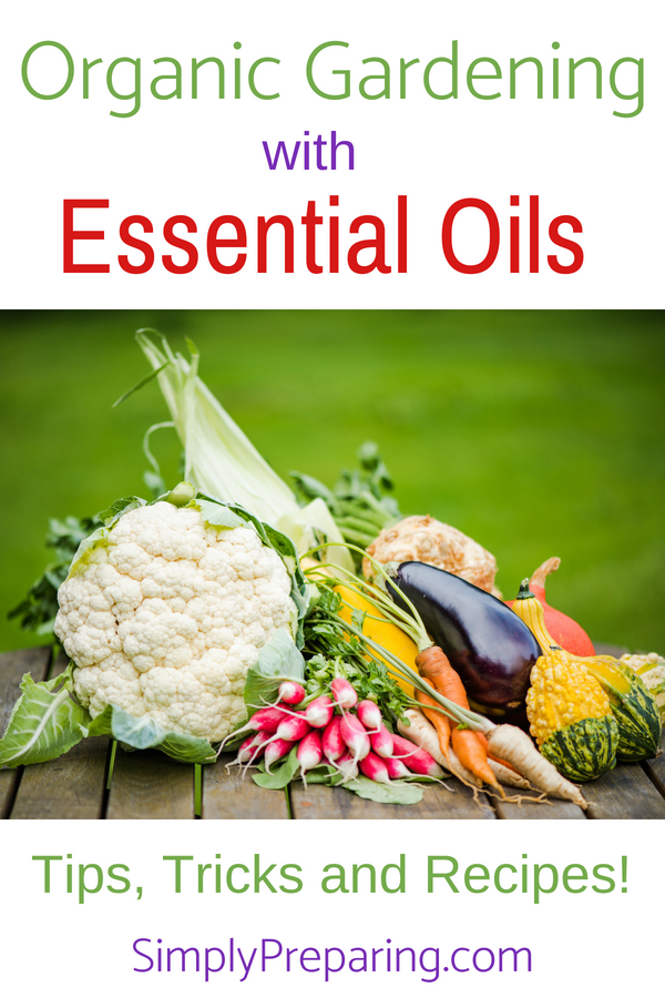 Organic Gardening With Essential Oils