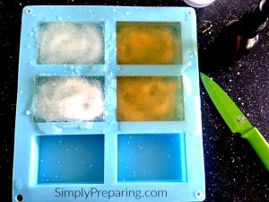 Simple Melt and Pour DIY Salt Scrub Bars